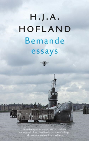 Afbeelding van Bemande essays