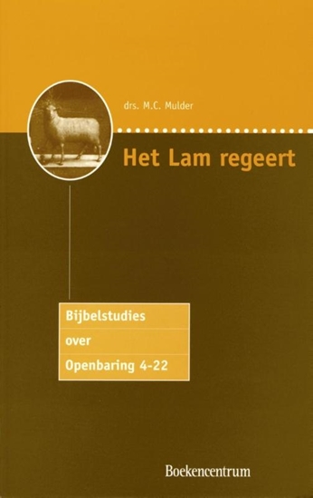 Afbeelding van Het Lam regeert