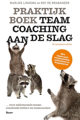 Afbeeldingen van Praktijkboek Teamcoaching, aan de slag