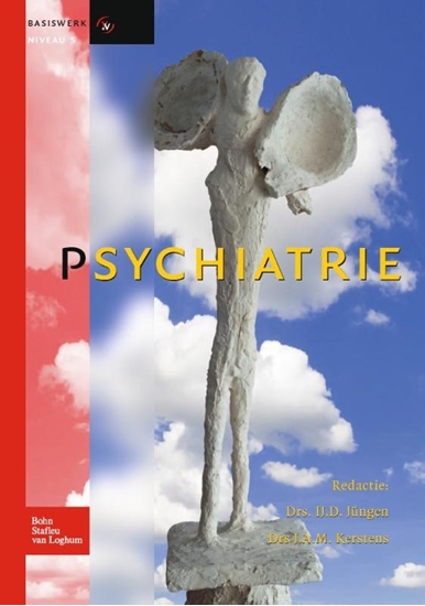 Afbeelding van Basiswerk V&V Psychiatrie