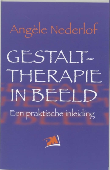 Afbeelding van Gestalttherapie in beeld