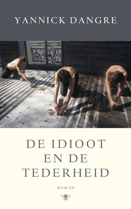 Afbeeldingen van De idioot en de tederheid