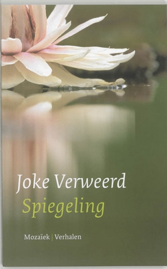 Afbeelding van Spiegeling