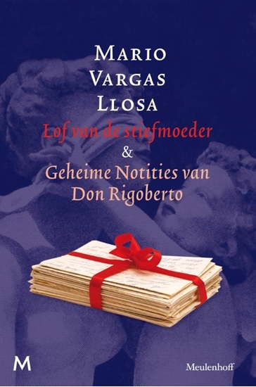 Afbeelding van Lof van de stiefmoeder en geheime notities van Don Rigoberto