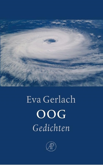 Afbeelding van Oog