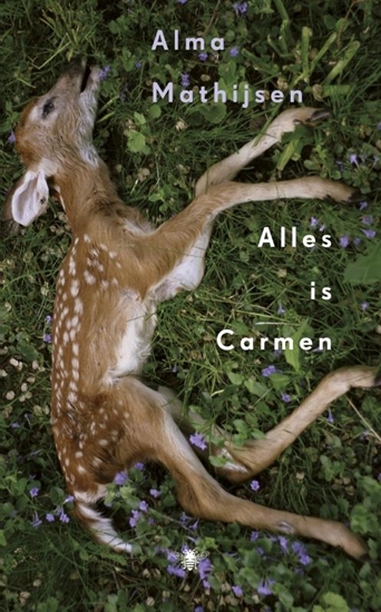 Afbeelding van Alles is Carmen