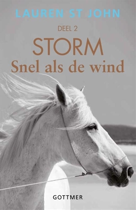 Afbeeldingen van Storm Snel als de wind