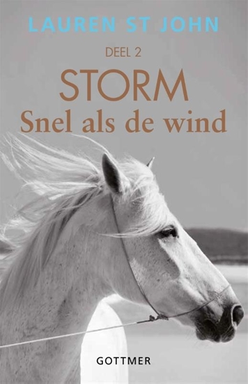 Afbeelding van Storm Snel als de wind