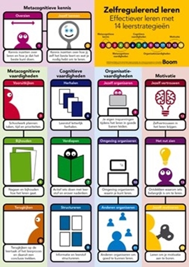 Afbeelding van Poster Zelfregulerend leren