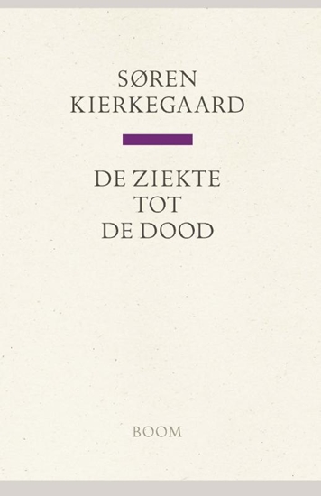 Afbeelding van De ziekte tot de dood