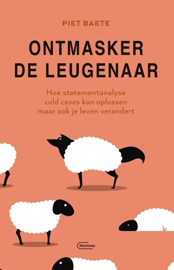 Afbeelding van Ontmasker de leugenaar