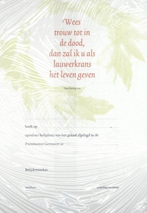Afbeeldingen van Belijdeniskaart 302