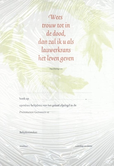 Afbeelding van Belijdeniskaart 302