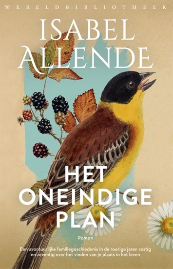 Afbeelding van Het oneindige plan