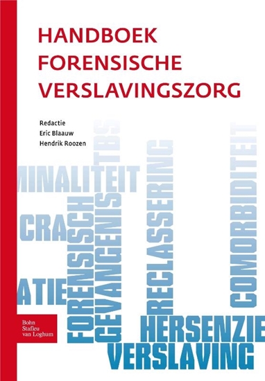 Afbeelding van Handboek forensische verslavingszorg