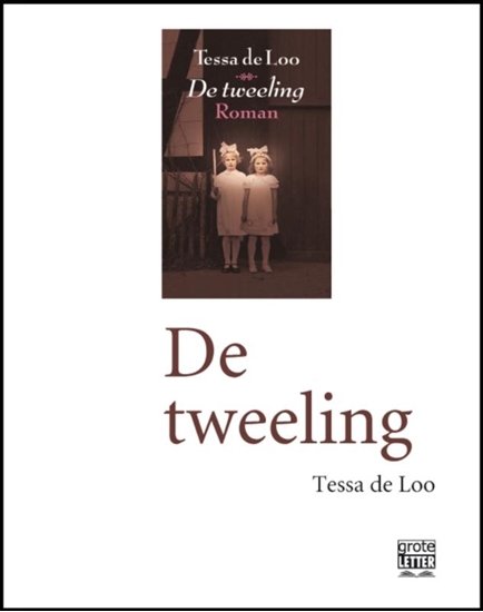 Afbeelding van De tweeling