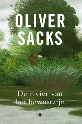 Afbeeldingen van De rivier van het bewustzijn
