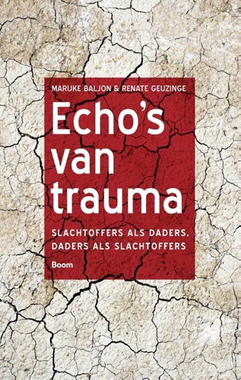 Afbeelding van Echo's van trauma