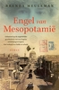 Afbeelding van Engel van Mesopotamië