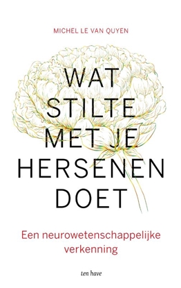 Afbeeldingen van Wat stilte met je hersenen doet