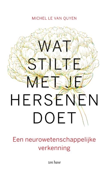 Afbeelding van Wat stilte met je hersenen doet