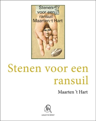 Afbeeldingen van Stenen voor een ransuil