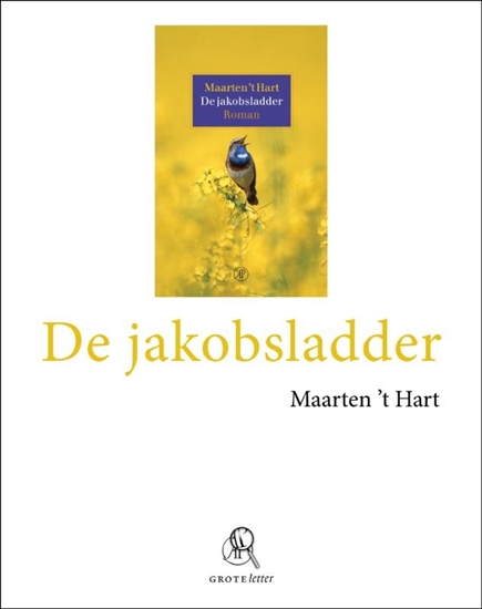 Afbeelding van De jakobsladder