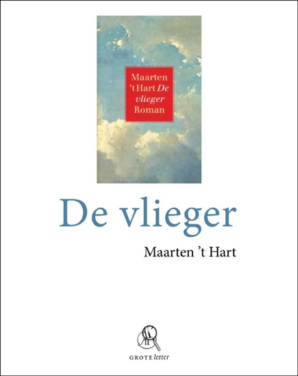 Afbeelding van De vlieger