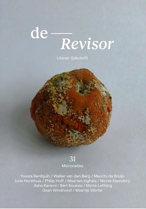 Afbeeldingen van Revisor 31