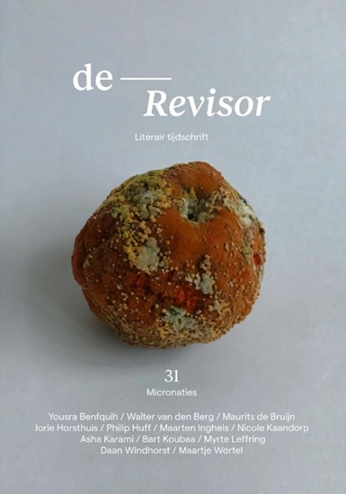 Afbeelding van Revisor 31
