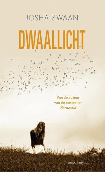 Afbeelding van Dwaallicht