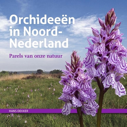 Afbeeldingen van Orchideeën in Noord-Nederland
