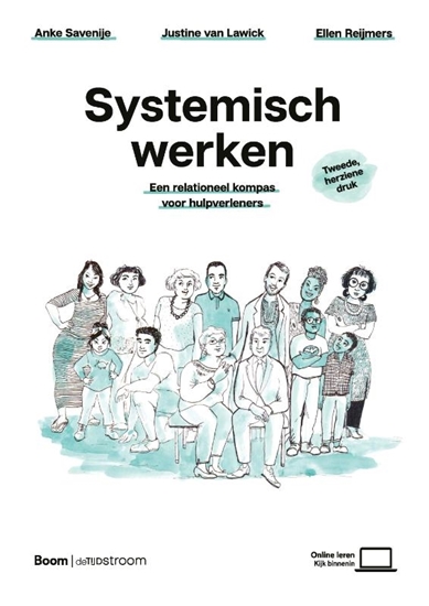 Afbeelding van Systemisch werken