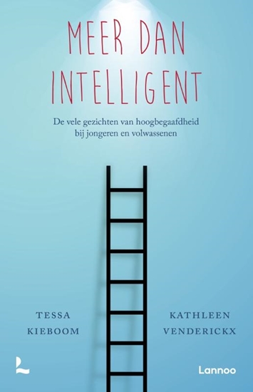 Afbeelding van Meer dan intelligent