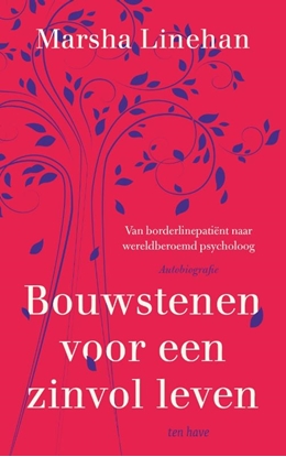 Afbeeldingen van Bouwstenen voor een zinvol leven