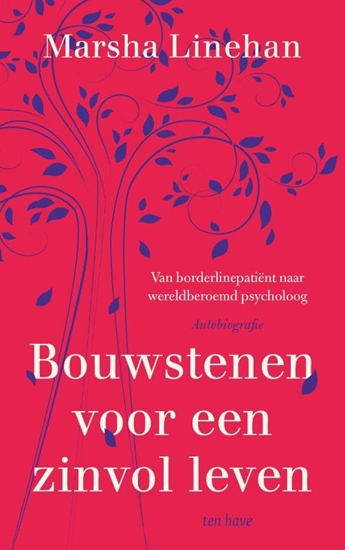 Afbeelding van Bouwstenen voor een zinvol leven