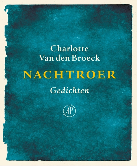 Afbeelding van Nachtroer