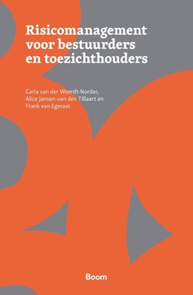 Afbeeldingen van Risicomanagement voor toezichthouders en bestuurders