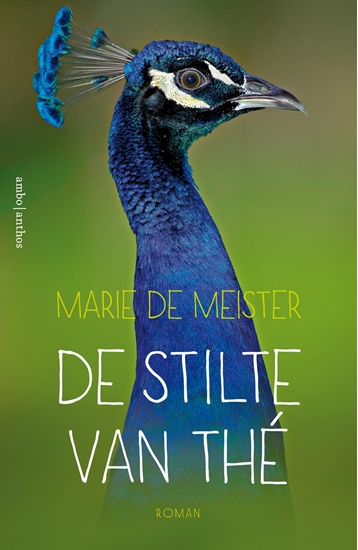 Afbeelding van De stilte van Thé