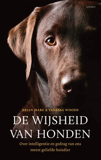 Afbeelding van De wijsheid van de honden