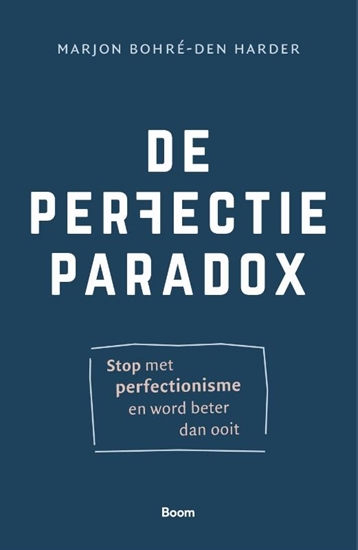 Afbeelding van De perfectieparadox