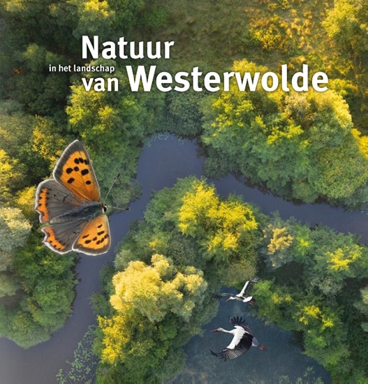Afbeelding van Natuur in het landschap van Westerwolde