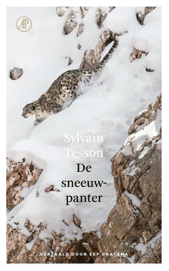 Afbeelding van De sneeuwpanter