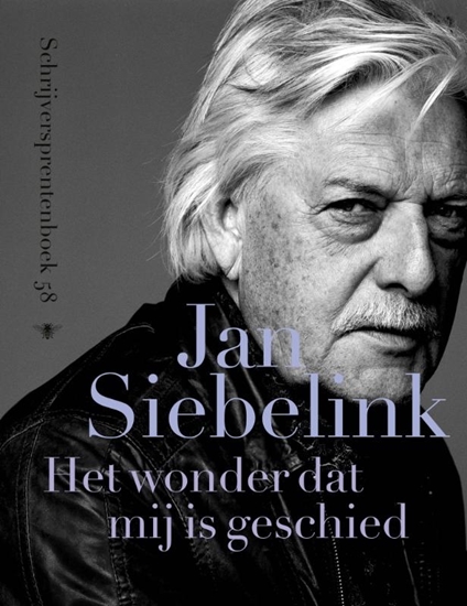 Afbeelding van Schrijversprentenboek