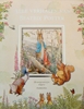 Afbeelding van Pieter Konijn Alle verhalen van Beatrix Potter