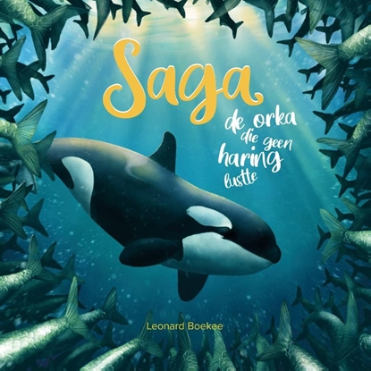 Afbeeldingen van Saga
