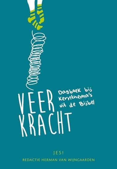 Afbeelding van Veerkracht