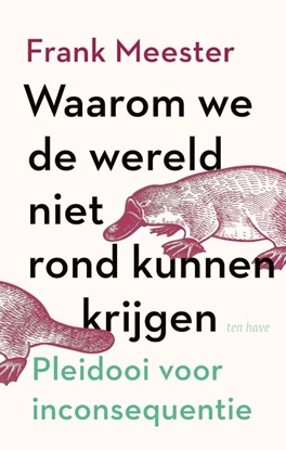 Afbeeldingen van Waarom we de wereld niet rond kunnen krijgen