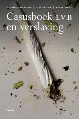 Afbeeldingen van Casusboek LVB en verslaving
