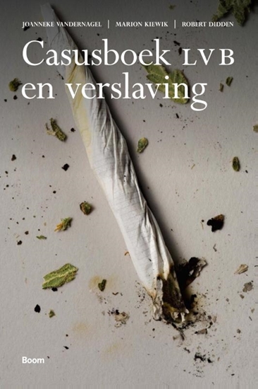 Afbeelding van Casusboek LVB en verslaving